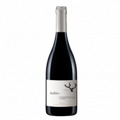Merum Priorati Ardiles 2019