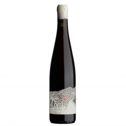 BLANKbottle Little William Syrah 2021