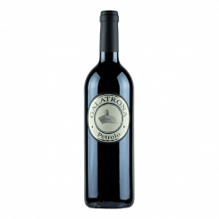 Petrolo Galatrona 2022