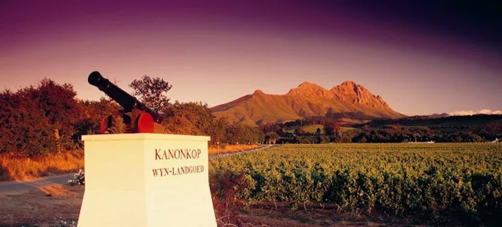 The Kanonkop cannon and the Simonsberg, Stellenbosch